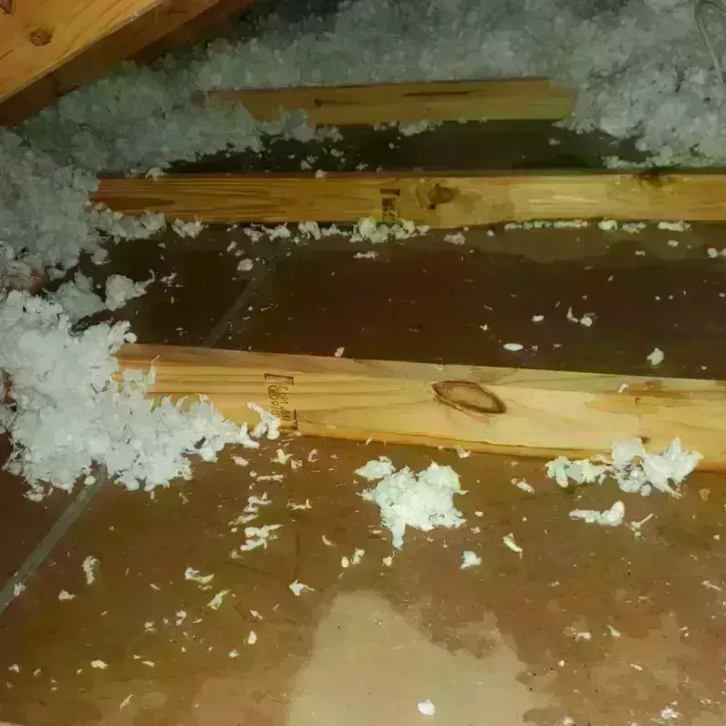 Attic Water Damage in Atkins, VA